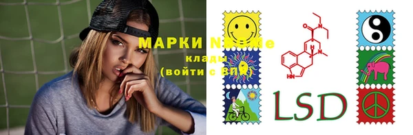 СК Алексин