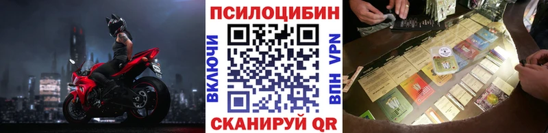 Псилоцибиновые грибы Psilocybe  Каргат 